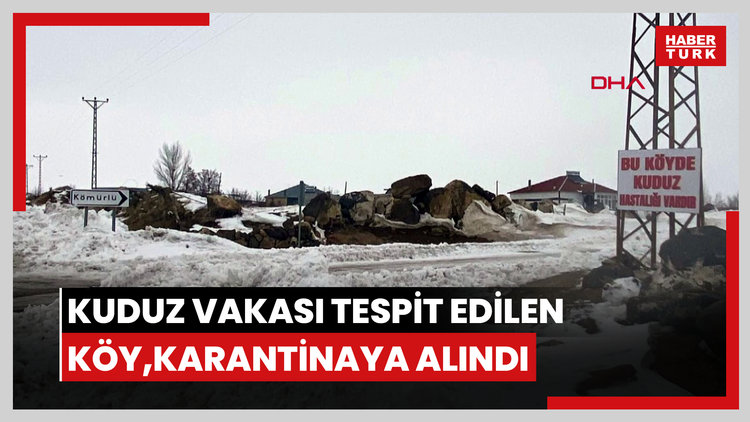 Bitlis- Adilcevaz'da kuduz vakası tespit edilen köy, karantinaya alındı