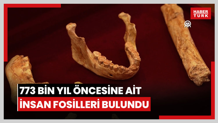 Fasta, 773 bin yıl öncesine ait insan fosilleri bulundu
