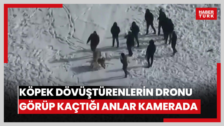 Köpek dövüştürenlerin dronu görüp kaçtığı anlar kamerada