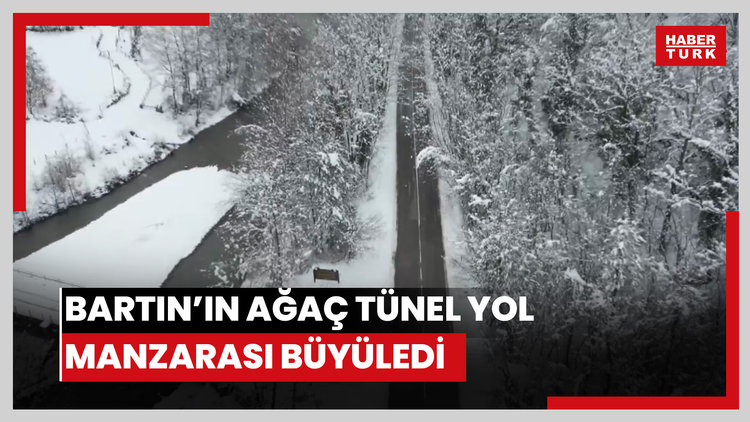 'Ağaç tünel yol'da, kar yağışı sonrası ortaya çıkan manzara görüntülendi