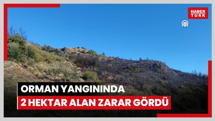 Orman yangınında 2 hektar alan zarar gördü