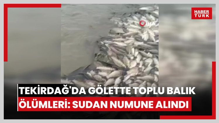 Tekirdağ'da gölette toplu balık ölümleri: Sudan numune alındı