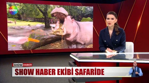 Show Haber ekibi safari turunda!