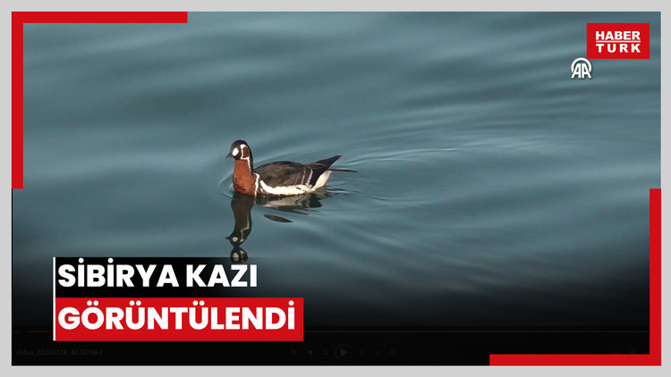 Sibirya kazı görüntülendi