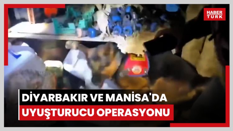 Diyarbakır ve Manisa'da uyuşturucu operasyonu: 445 gözaltı