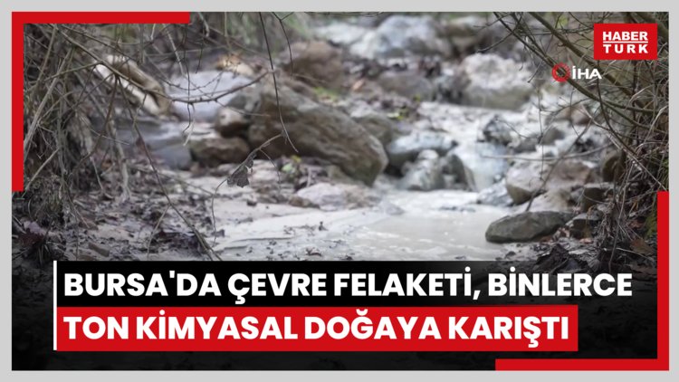Bursa'da çevre felaketi...Binlerce ton kimyasal doğaya karıştı
