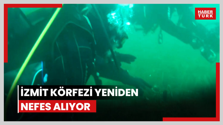 İzmit Körfezi yeniden nefes alıyor