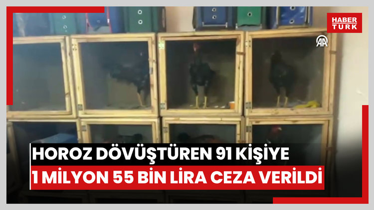 Horoz dövüştüren 91 kişiye 1 milyon 55 bin lira ceza verildi