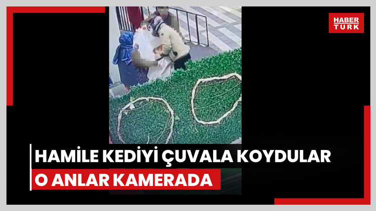 Hamile kediyi çuvala koydular!