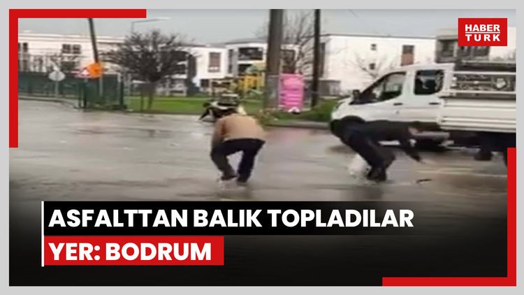 Asfalttan balık topladılar