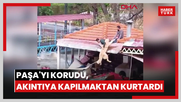 Paşa'yı canı pahasına korudu, akıntıya kapılmaktan son anda kurtardı