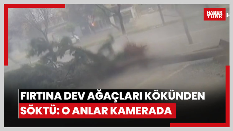 Fırtına dev ağaçları kökünden söktü: O anlar kamerada