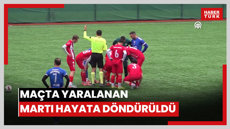 İstanbulda maç sırasında topun çarptığı martı kalp masajıyla hayata döndürüldü