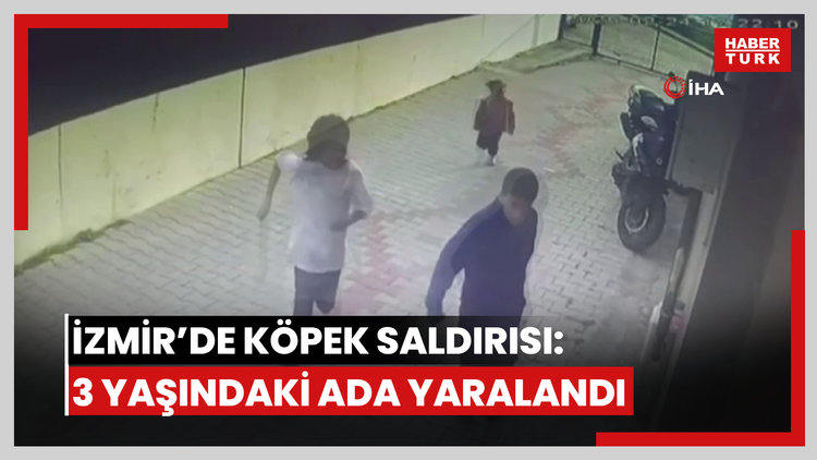 İzmir'de köpek dehşetinde panik anları kamerada: 3 yaşındaki Ada'nın yüzü pençe ve ısırıkla dolu