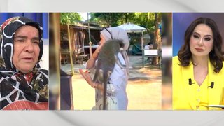 Didem Arslan Yılmaz'la Vazgeçme 1249. Bölüm Fragmanı