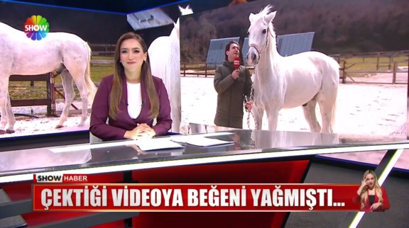 Atıyla zeybek oynadı! 