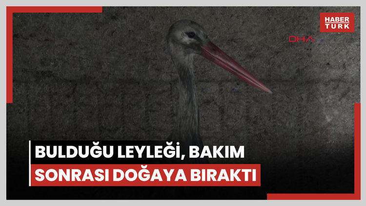 Donmak üzereyken bulduğu leyleği, 2,5 aylık bakım sonrası doğaya bıraktı
