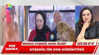 Ayşegül'ün kardeşinden şok açıklama! 