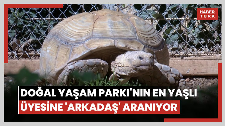Doğal Yaşam Parkı'nın en yaşlı üyesine 'arkadaş' aranıyor