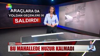 Bu mahallede huzur kalmadı! 