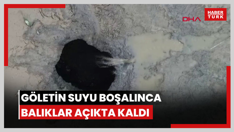 Göletin suyu boşalınca balıklar açıkta kaldı