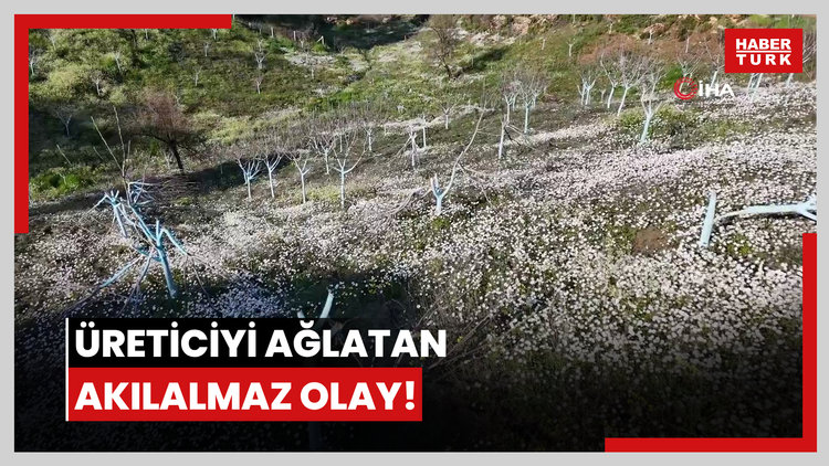 Üreticiyi ağlatan akılalmaz olay!