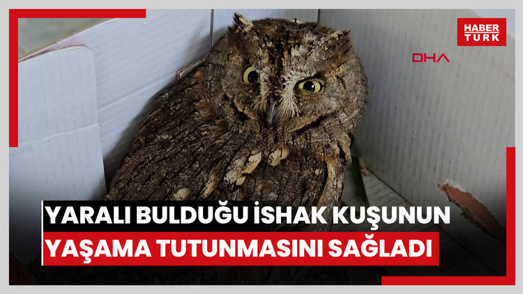 14 yaşındaki Berk, yaralı bulduğu İshak kuşunun yaşama tutunmasını sağladı