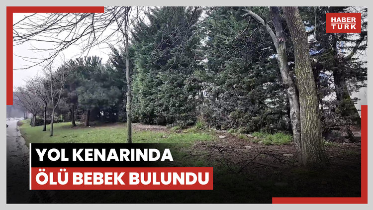 Sancaktepe'de yol kenarında ölü bebek bulundu