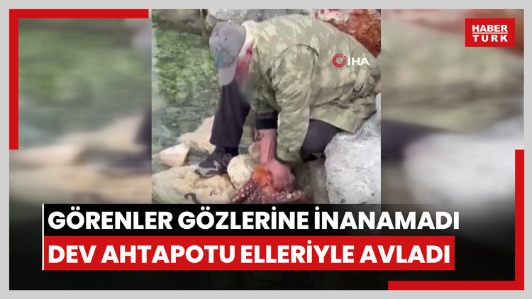 Görenler gözlerine inanamadı: Kayalıktaki dev ahtapotu elleriyle avladı