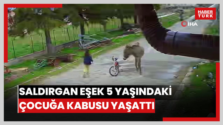 Saldırgan eşek evinin önünde oynayan 5 yaşındaki çocuğa kabusu yaşattı