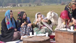 Dağ keçisi gelinleri rahat bırakmıyor!