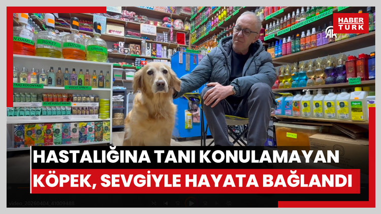 Hastalığına tanı konulamayan köpek sevginin gücüyle hayata bağlandı