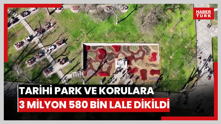 İstanbul'da lale zamanı; tarihi park ve korulara 3 milyon 580 bin lale dikildi