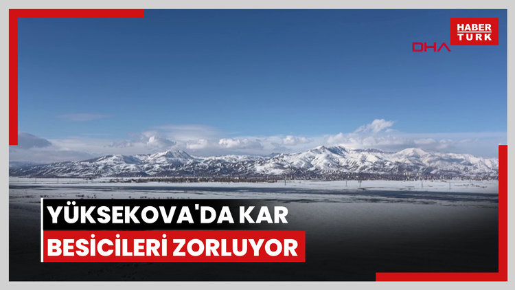 Yüksekova'da kar besicileri zorluyor; hayvanlar meraya çıkamadı