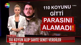 Dolandırıcılara 110 koyun kaptırdı!
