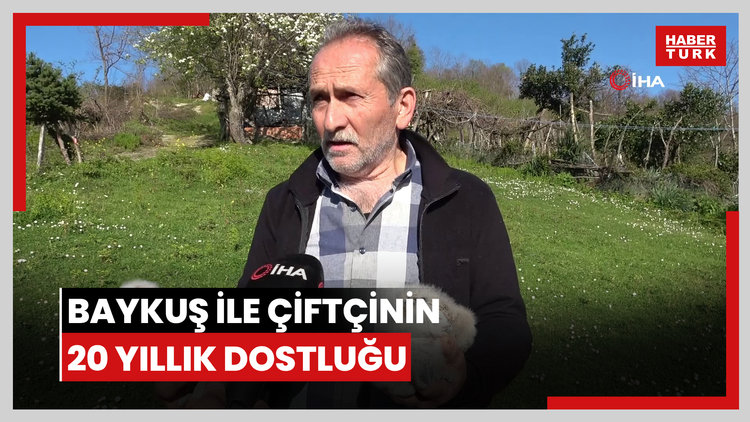Baykuş ile çiftçinin 20 yıllık dostluğu