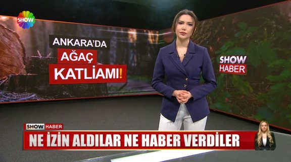 Ankara'da ağaç katliamı! 