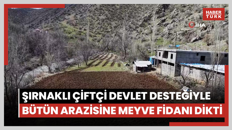 Şırnaklı çiftçi devlet desteğiyle bütün arazisine meyve fidanı dikti