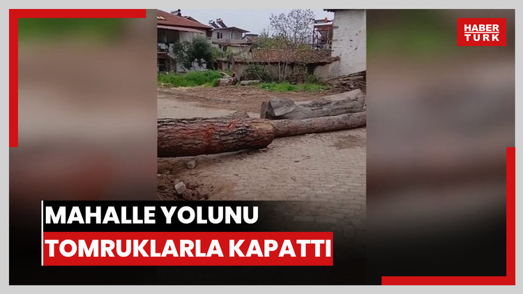 Mahalle yolunu tomruklarla kapattı