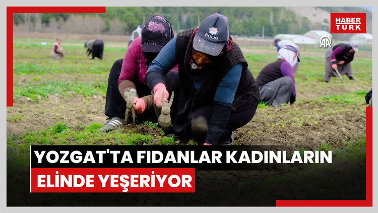 Yozgat'ta fidanlar kadınların elinde yeşeriyor