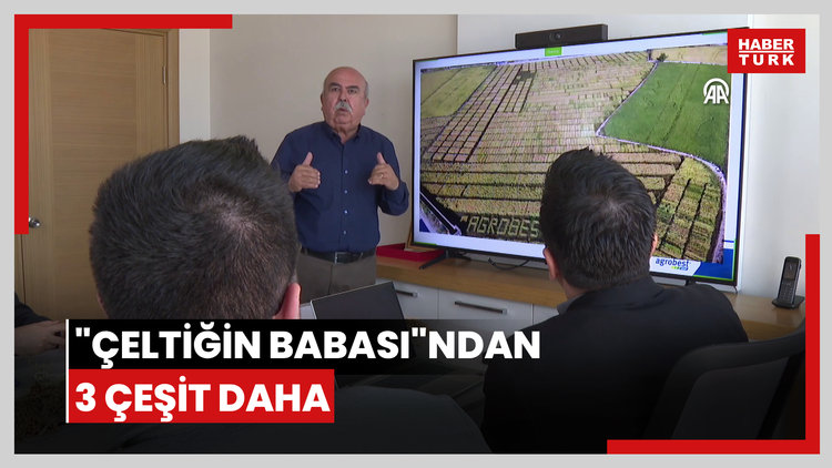 "Çeltiğin babası"ndan 3 çeşit daha
