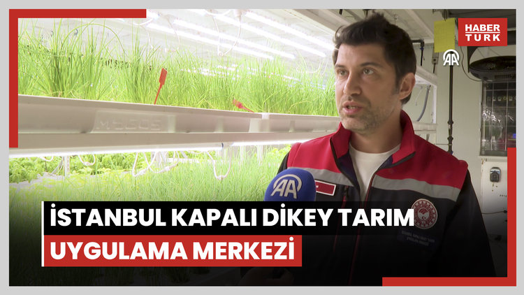 İstanbul Kapalı Dikey Tarım Uygulama Merkezi