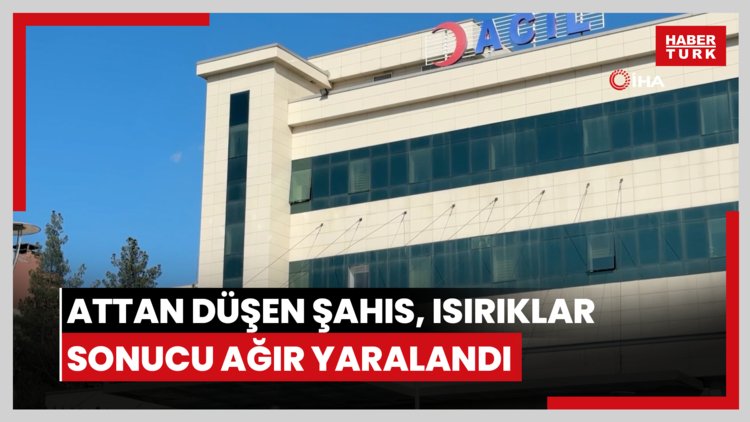 Attan düşen şahıs, ısırıklar sonucu ağır yaralandı