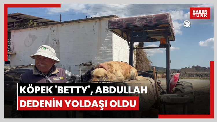 Köpek 'Betty', Abdullah dedenin yoldaşı oldu