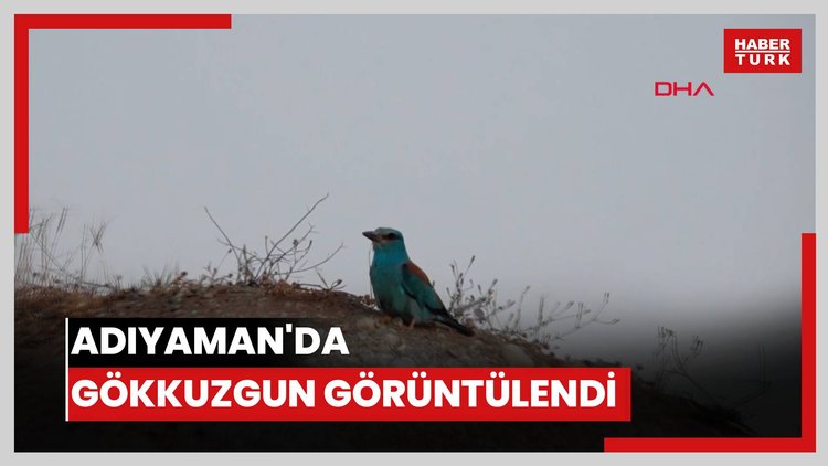 Adıyaman'da gökkuzgun görüntülendi