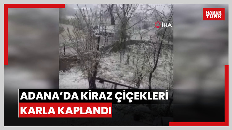 Adana'da kiraz çiçekleri karla kaplandı