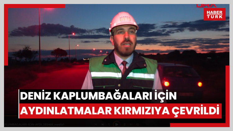 Deniz kaplumbağaları için aydınlatmalar kırmızı LED'e çevrildi