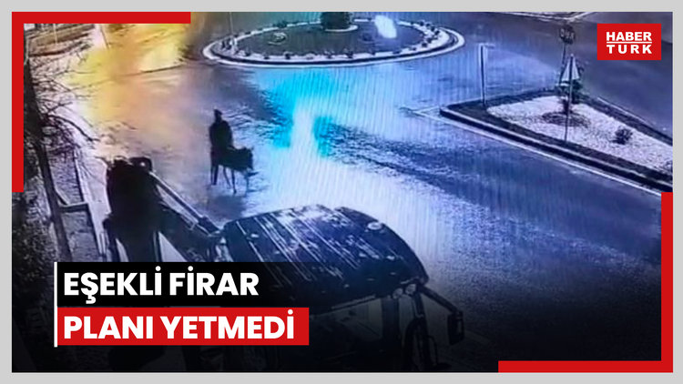 Eşekli firar planı yetmedi: 9 yıl 7 ay hapis cezası