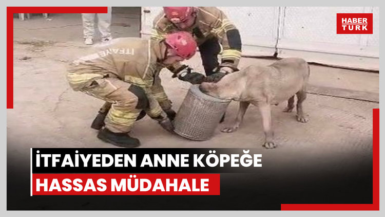 İtfaiyeden anne köpeğe hassas müdahale