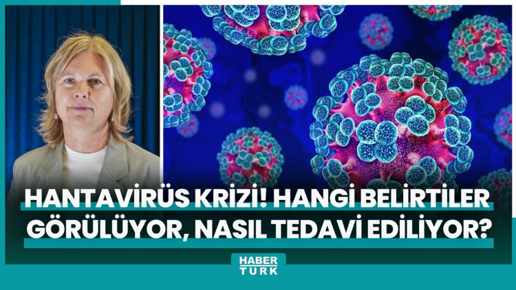 Hantavirüs krizi! Hangi belirtiler görülüyor, nasıl tedavi ediliyor?